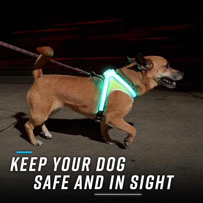 Noxgear LightHound (Large) + High-Visibility Dog Leash – Illuminated and Reflective Harness for Dogs Including Multicolored LED Fiber Optics (USB Rechargeable, Adjustable, Lightweight, Rainproof)