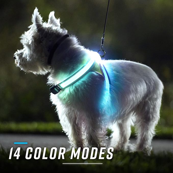 Noxgear LightHound (X-Large) + High-Visibility Dog Leash – Illuminated and Reflective Harness for Dogs Including Multicolored LED Fiber Optics (USB Rechargeable, Adjustable, Lightweight, Rainproof)
