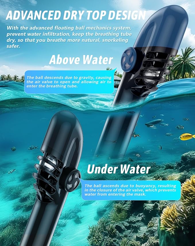 Full Face Snorkel Mask for Adults, 218° Panoramic Anti-Fog Snorkeling Gear with Dry Top System & Camera Mount, Foldable Anti-Leak Design for Travel, Swimming & Ocean Snorkeling