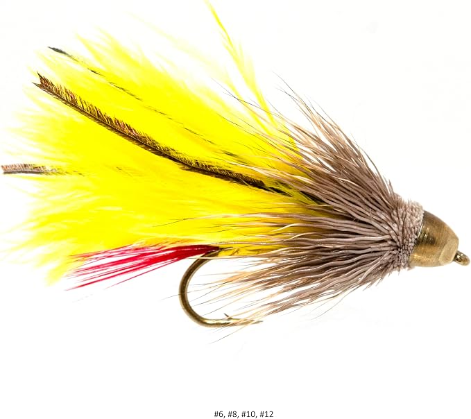 Outdoor Planet 24/48/66/72 Premium Hand Tied Fly Fishing Flies Assortment | Fly Boxes Included | Dry, Wet, Nymphs, Streamers, Wooly Buggers, Terrestrials | Trout, Bass Lure Set, Kit, Gift