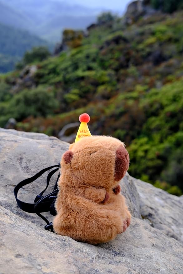 Rock Climbing Chalk Bag – Cute Plush Chalk Bag for Bouldering, Gym, Indoor & Outdoor Climbing – Drawstring Closure, Adjustable Waist Belt – Fun Character Design for Climbers
