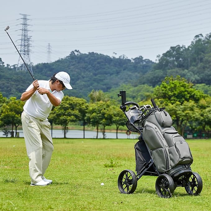 FLAGTAG Golf Push Cart 4-Wheels,Folding Golf Cart, Golf Pull cart with Cup Holder,Umbrella Holder,Cooler Bag, Foldable with one-Click,Handle Height Adjustable,Drink Holder,Walking Push cart
