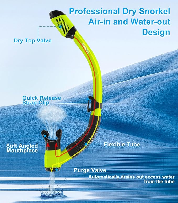 Aegend Snorkeling Gear for Adults Youth Kids, Snorkel Mask with Top Dry Valve - Panoramic View Anti-Leak and Anti-Fog with Mesh Bag for Snorkeling, Scuba Diving, Freediving & Swimming