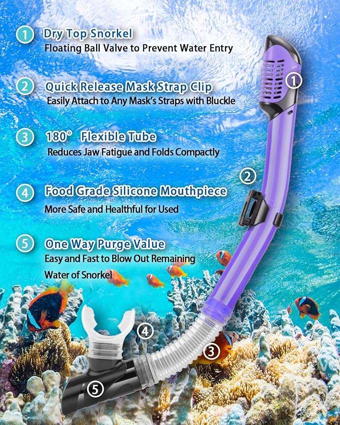 Snorkeling Gear for Adults, Adult Snorkel Set with Panoramic Anti-Leak and Anti-Fog Tempered Glass Snorkel Mask, Dry Top Snorkel, Snorkle Mask Set Adult with Mesh Bag Ear Plug for Snorkeling