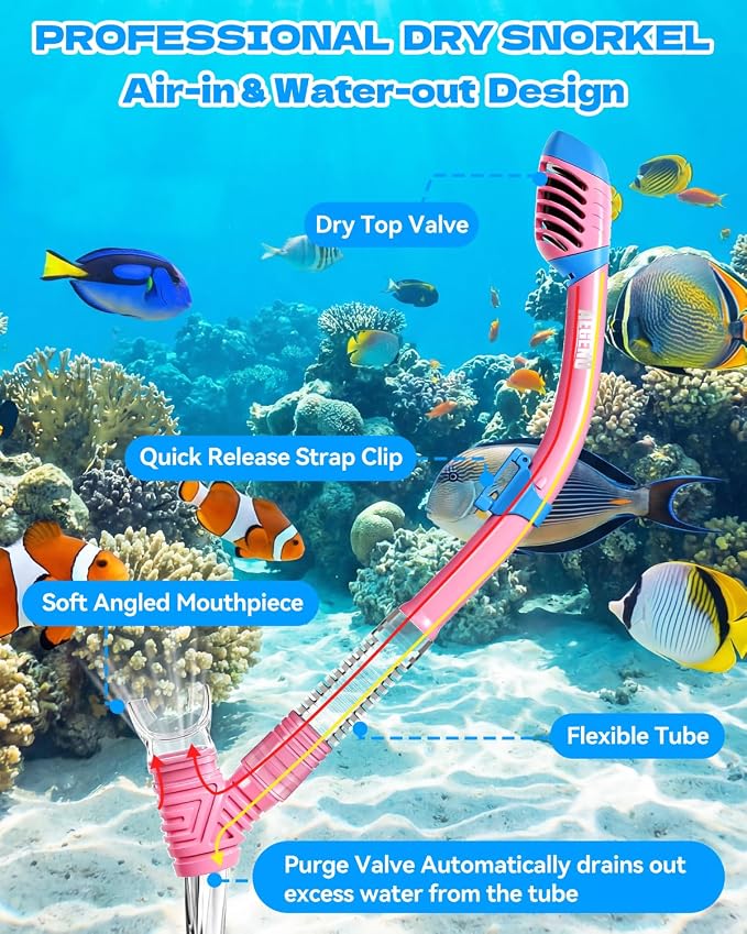 Aegend Snorkeling Gear for Kids Youth – 4-in-1 Snorkel Set with Anti-Fog Mask, Dry Snorkel & Adjustable Fins for Swimming, Diving, Snorkeling, Beach Vacation – Includes Travel Mesh Bag