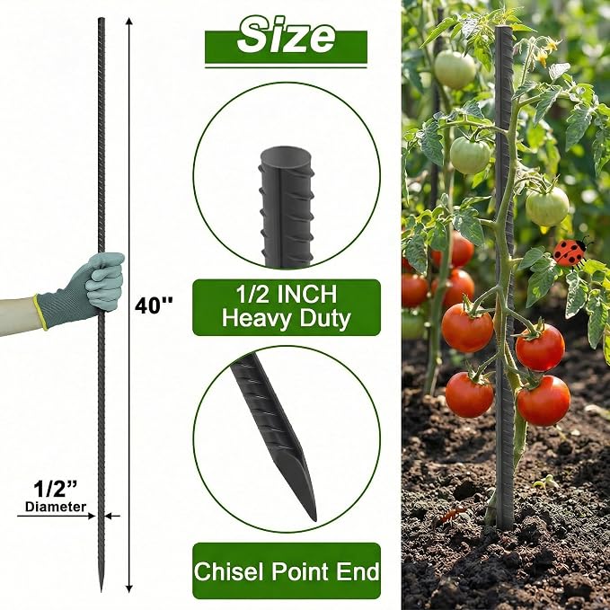 AAGUT Rebar Stakes 40 Inch 10 Pcs, 1/2" Heavy Duty Straight Ground Garden Stakes Landscpe Timber Spikes with Chisel Point End for Cement, Concrete Form, Plant Support, Black