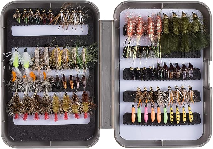 BASSDASH Fly Fishing Flies Kit Fly Assortment Trout Bass Fishing with Fly Box with Dry/Wet Flies, Nymphs, Streamers, Popper