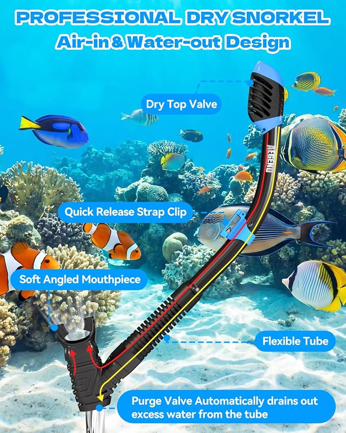 Aegend Snorkeling Gear for Kids Youth – 4-in-1 Snorkel Set with Anti-Fog Mask, Dry Snorkel & Adjustable Fins for Swimming, Diving, Snorkeling, Beach Vacation – Includes Travel Mesh Bag