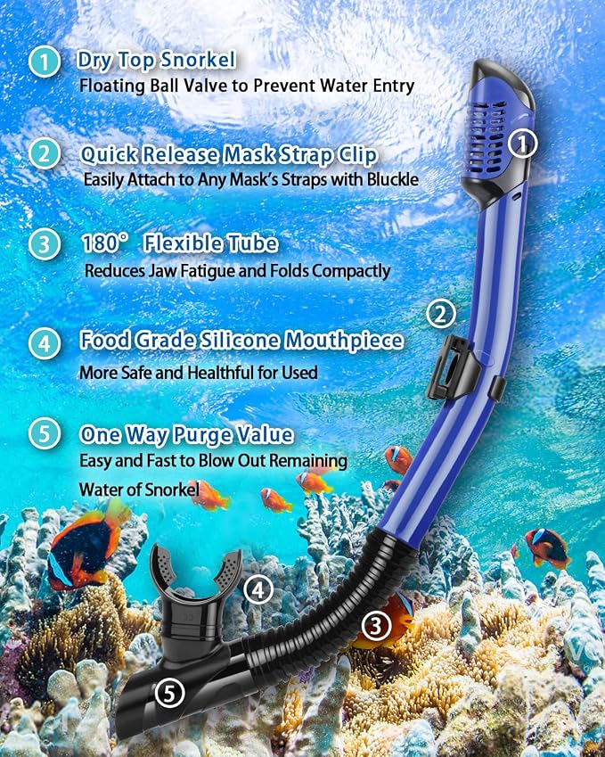 Snorkeling Gear for Adults, Adult Snorkel Set with Panoramic Anti-Leak and Anti-Fog Tempered Glass Snorkel Mask, Dry Top Snorkel, Snorkle Mask Set Adult with Mesh Bag Ear Plug for Snorkeling