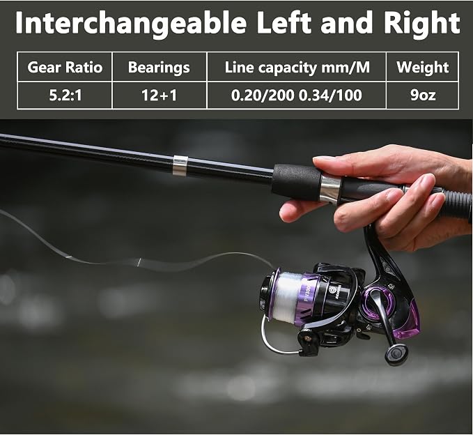 Fishing Pole Combo 2PCS Telescopic Fishing Rod and Aluminum Reel Combos with Carrier Bag Sea Saltwater Freshwater Fishing Rod Reel Kits