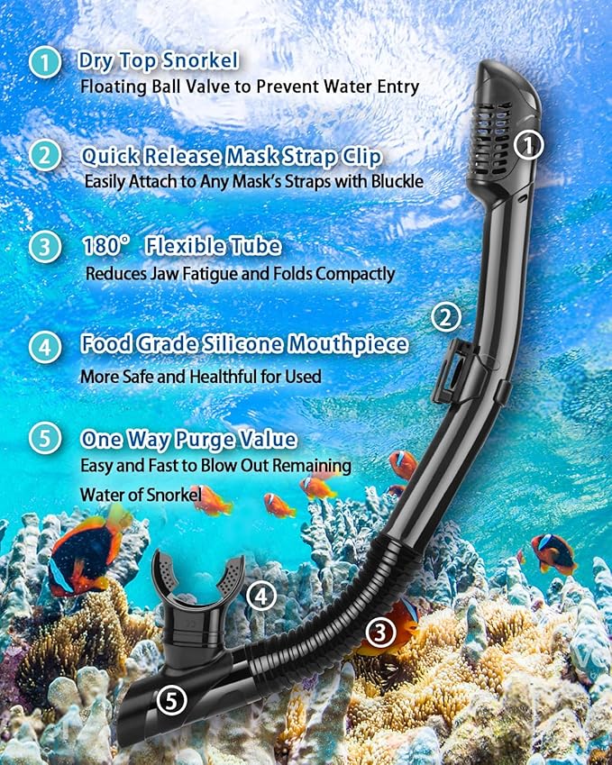 Snorkeling Gear for Adults, Adult Snorkel Set with Panoramic Anti-Leak and Anti-Fog Tempered Glass Snorkel Mask, Dry Top Snorkel, Snorkle Mask Set Adult with Mesh Bag Ear Plug for Snorkeling