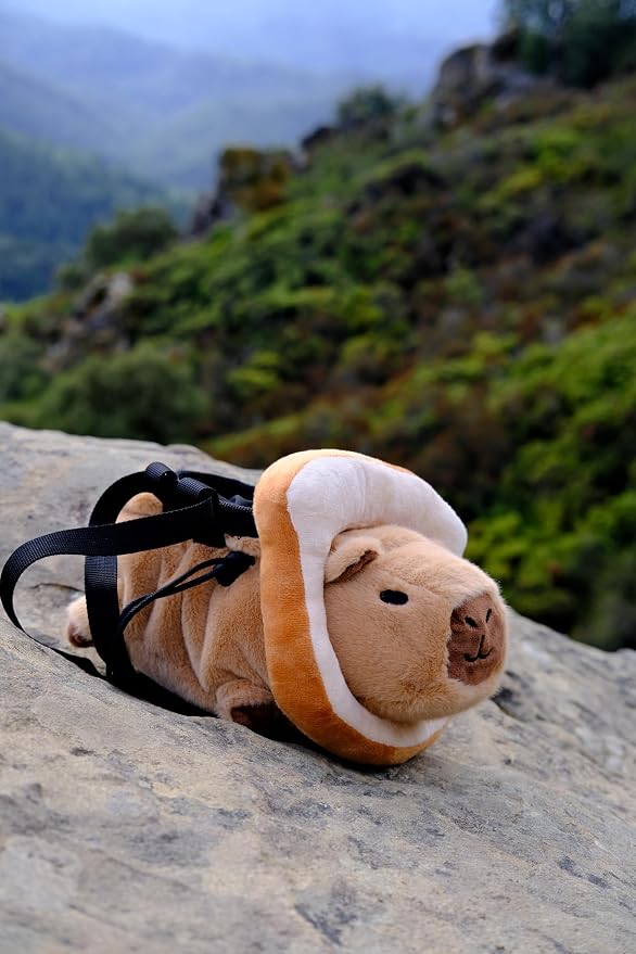 Rock Climbing Chalk Bag – Cute Plush Chalk Bag for Bouldering, Gym, Indoor & Outdoor Climbing – Drawstring Closure, Adjustable Waist Belt – Fun Character Design for Climbers