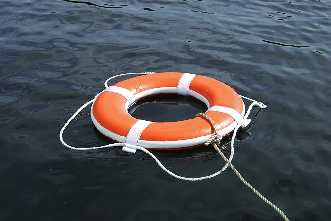 TAYLOR MADE PRODUCTS 364 Life Ring Buoy, Orange, 24" and Taylor Made 374 Ring Buoy Holder with 60-Feet White Heaving Line