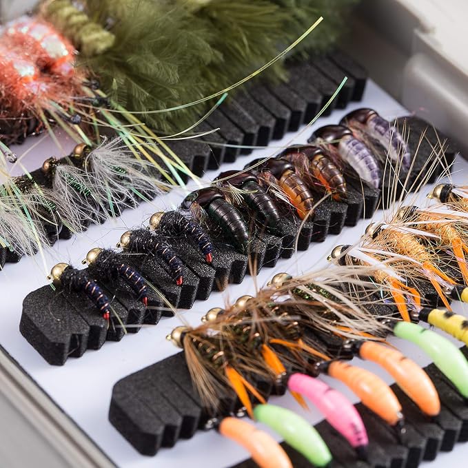BASSDASH Fly Fishing Flies Kit Fly Assortment Trout Bass Fishing with Fly Box with Dry/Wet Flies, Nymphs, Streamers, Popper