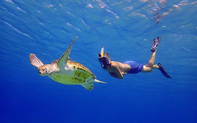 OCEAN REEF - Aria QR + Quick Release Snorkeling Mask - Full Face Snorkeling Mask - 180 Degree Underwater Vision - 8 Colours and 4 Sizes
