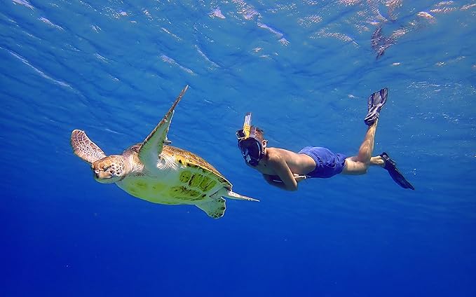 OCEAN REEF - Aria QR + Quick Release Snorkeling Mask - Full Face Snorkeling Mask - 180 Degree Underwater Vision - 8 Colours and 4 Sizes