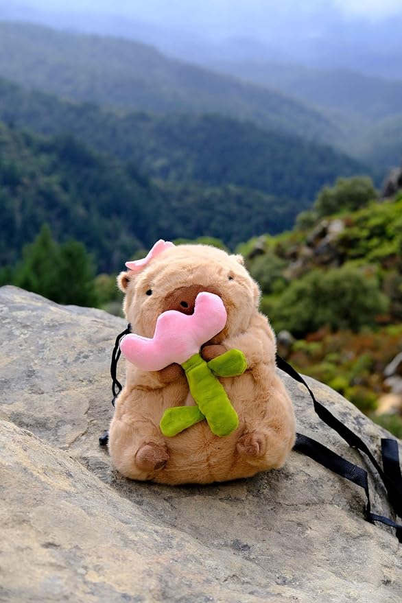 Rock Climbing Chalk Bag – Cute Plush Chalk Bag for Bouldering, Gym, Indoor & Outdoor Climbing – Drawstring Closure, Adjustable Waist Belt – Fun Character Design for Climbers