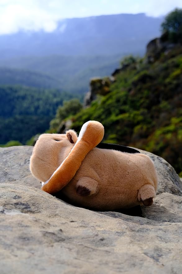 Rock Climbing Chalk Bag – Cute Plush Chalk Bag for Bouldering, Gym, Indoor & Outdoor Climbing – Drawstring Closure, Adjustable Waist Belt – Fun Character Design for Climbers
