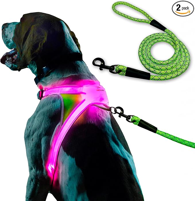 Noxgear LightHound (Large) + High-Visibility Dog Leash – Illuminated and Reflective Harness for Dogs Including Multicolored LED Fiber Optics (USB Rechargeable, Adjustable, Lightweight, Rainproof)