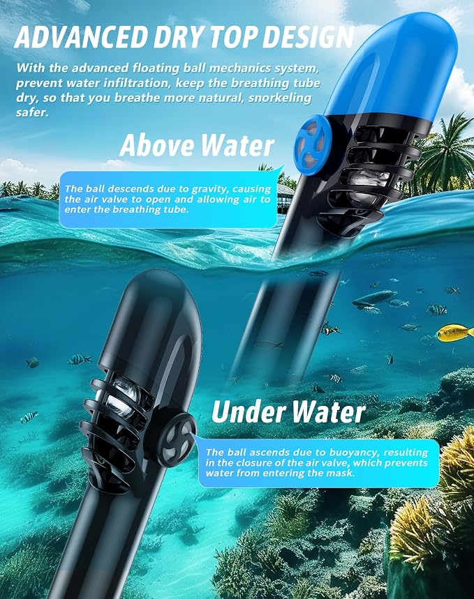 Full Face Snorkel Mask for Adults, 180° Panoramic Anti-Fog Snorkeling Gear with Dry Top System & Camera Mount, Foldable Anti-Leak Design for Travel, Swimming & Ocean Snorkeling
