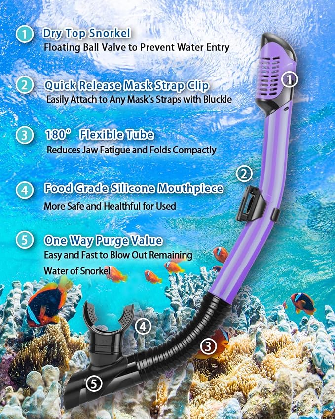 Snorkeling Gear for Adults, Adult Snorkel Set with Panoramic Anti-Leak and Anti-Fog Tempered Glass Snorkel Mask, Dry Top Snorkel, Snorkle Mask Set Adult with Mesh Bag Ear Plug for Snorkeling