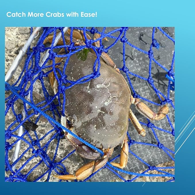 Stainless Collapsible Crab Net with 100ft Rope, Bait Bag, Clip & Ruler – 6 Pieces Portable Crab Trap for Easy Storage – Durable Grid Design for Dock & Pier Crabbing