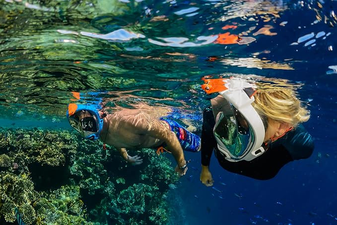 OCEAN REEF - Aria QR + Quick Release Snorkeling Mask - Full Face Snorkeling Mask - 180 Degree Underwater Vision - 8 Colours and 4 Sizes