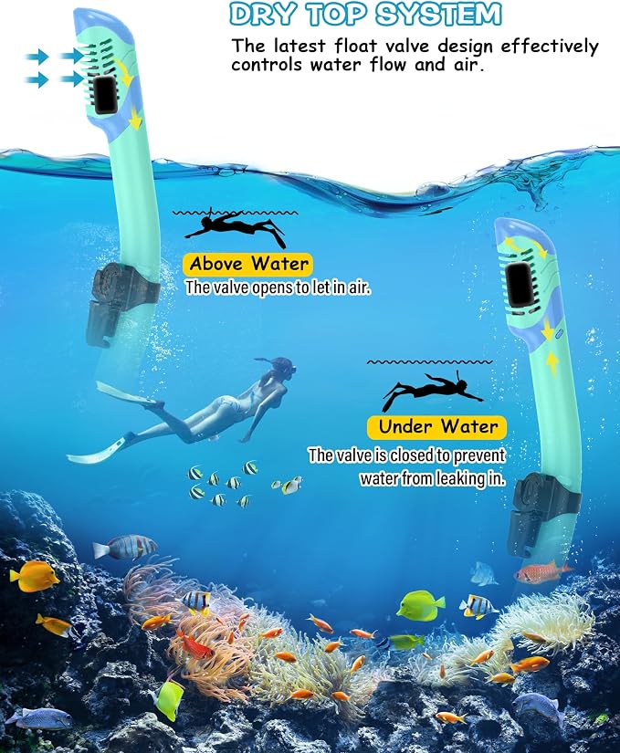 Greatever Snorkeling Gear for Adults, Dry Snorkel Set Panoramic View Snorkel Mask, Anti-Leak Anti-Fog Scuba Diving Swimming Mask with Adjustable Strap and Travel Mesh Bag