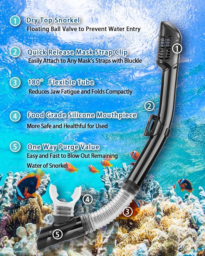 Snorkeling Gear for Adults, Adult Snorkel Set with Panoramic Anti-Leak and Anti-Fog Tempered Glass Snorkel Mask, Dry Top Snorkel, Snorkle Mask Set Adult with Mesh Bag Ear Plug for Snorkeling