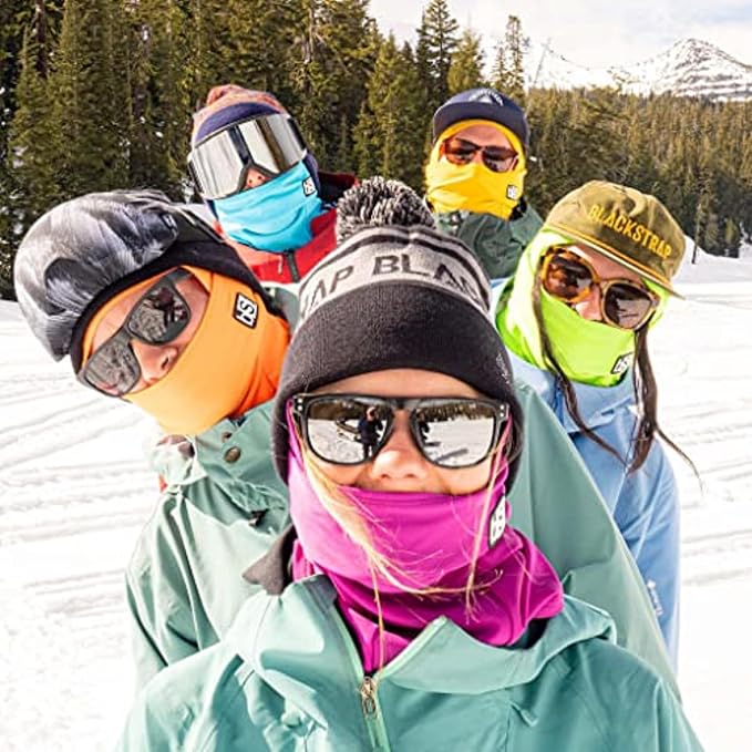 BLACKSTRAP Hood Balaclava Face Mask – Cold Weather Ski Mask, Breathable, Moisture-Wicking, and Helmet-Compatible