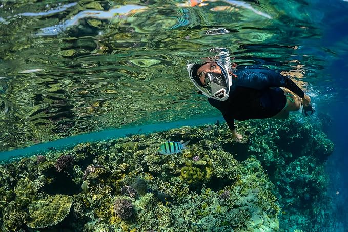 OCEAN REEF - Aria QR + Quick Release Snorkeling Mask - Full Face Snorkeling Mask - 180 Degree Underwater Vision - 8 Colours and 4 Sizes