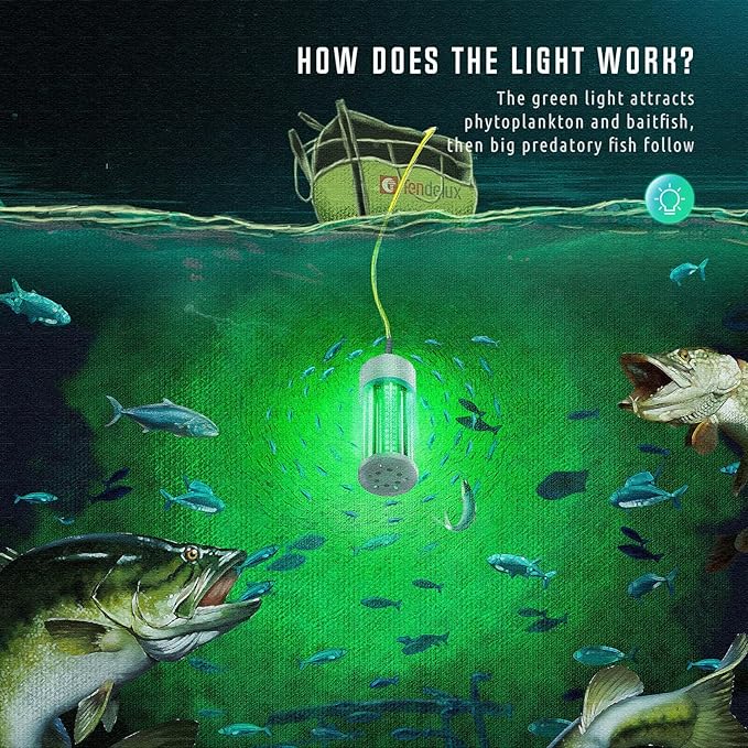 Underwater Fishing Light, 110V & 12V Super Bright Green LED Submersible Light Attractants for Docks, Boats or Kayaks, IP68 Rated for Fresh & Salt Water (30ft Cable)