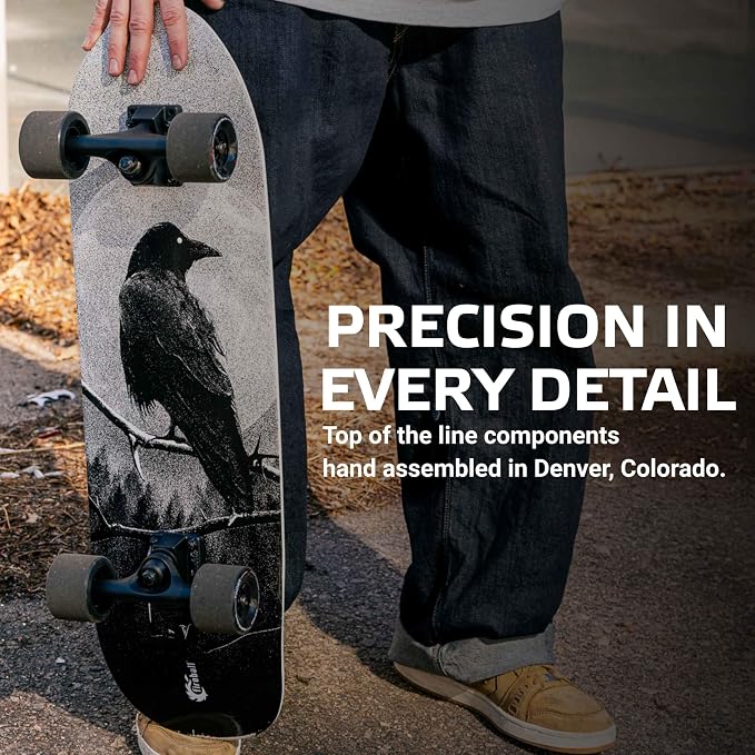 Fireball Mini Cruiser Longboard Skateboard Complete - Fully Assembled & Ready to Ride 29.5 x 8.5” Professional Maple Board - Artist Series Limited Edition Cruiser