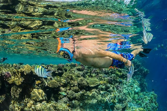 OCEAN REEF - Aria QR + Quick Release Snorkeling Mask - Full Face Snorkeling Mask - 180 Degree Underwater Vision - 8 Colours and 4 Sizes