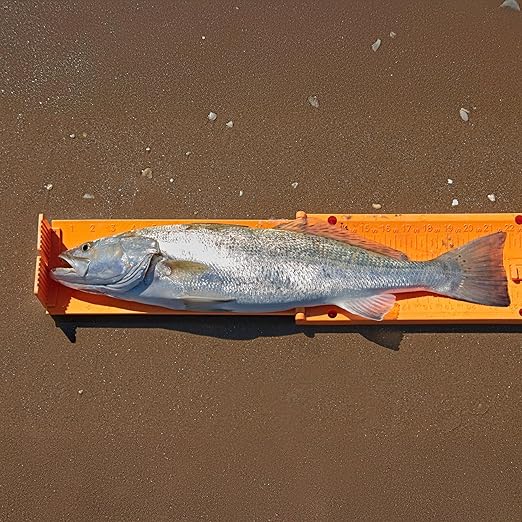 YakGear The Fish Stik - Lime Green