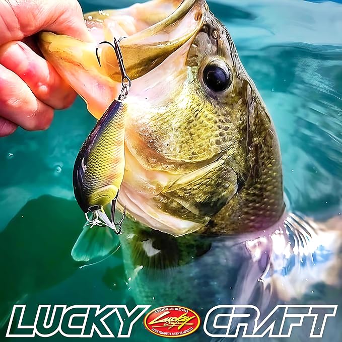 LUCKY CRAFT Pond Bass Premium Box, 7 Freshwater Fishing Lures for Pond and Lake Fish, Mystery Selection Tackle Box with Surprise Bass Lures, Fishing Gear Accessories