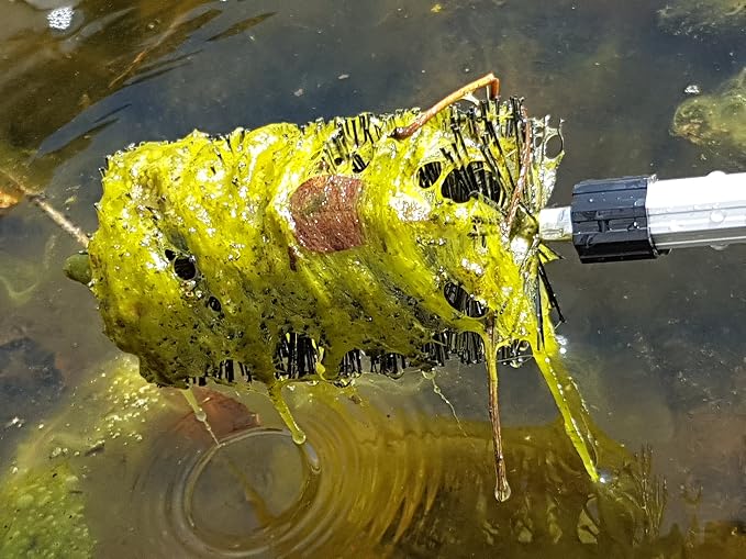 Koi Fish Pond & Water Garden Care Set with Telescoping Adjustable Pole, Pond Cleaning Care Kit, 4-in-1 Net Set Includes Scrubbing Brush, Skimming Net & Fish Catching Net with 6 FT Telescopic Pole