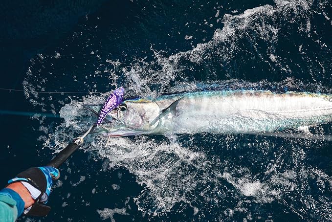 Nomad Design Chug Norris 6” (150mm) Topwater Floating Popper Fishing Lure with BKK Hooks & Durable Diamond Armour, for Bluefin & Yellowfin Tuna, Cubera Snapper, & Roosterfish