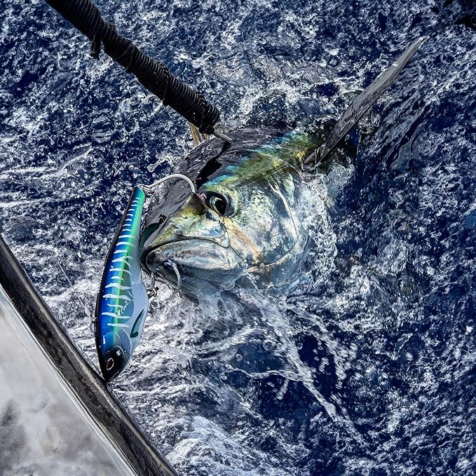 Nomad Design Chug Norris 6” (150mm) Topwater Floating Popper Fishing Lure with BKK Hooks & Durable Diamond Armour, for Bluefin & Yellowfin Tuna, Cubera Snapper, & Roosterfish