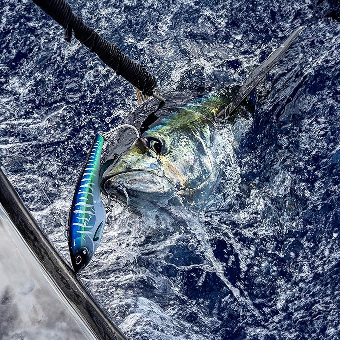 Nomad Design Chug Norris 6” (150mm) Topwater Floating Popper Fishing Lure with BKK Hooks & Durable Diamond Armour, for Bluefin & Yellowfin Tuna, Cubera Snapper, & Roosterfish